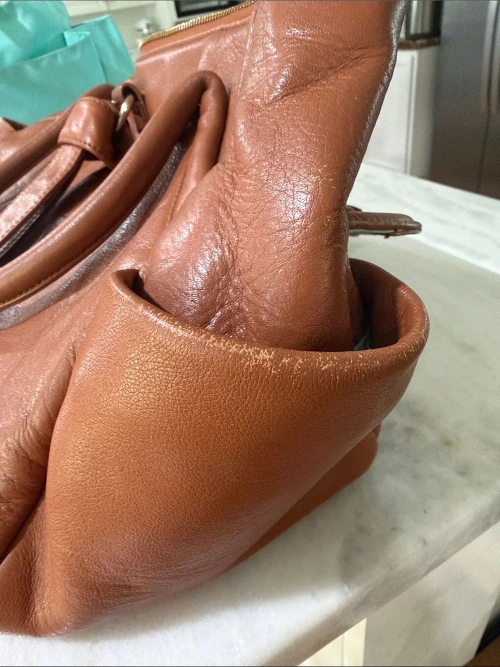 Lily Jade Diaper Bag Backpack Women's Tan Leather Satchel Bag